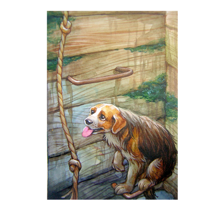 Жучка в колодце