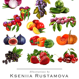 Фрукты и Овощи Карандашом