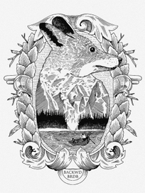 "Лиса" иллюстрация для бренда одежды Bro Dobrei