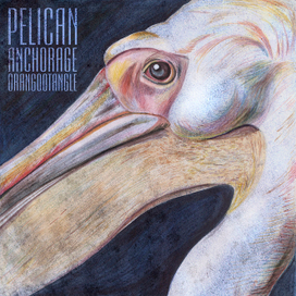 Pelican 