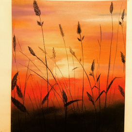 Закат в поле