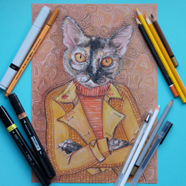 Кошка Стелла