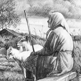 Иллюстрации к кнге Натальи Гуровой "Всё это жзнь"