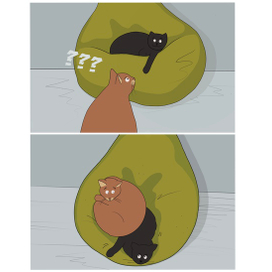 Это мой мешок !