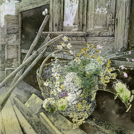 Из серии "Моё деревенское лето"