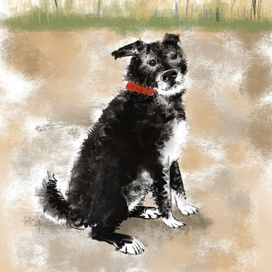 Мой собакен