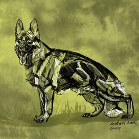 Groovy di Casa Massarelli