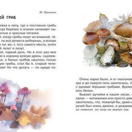 Серия времена года : Осень