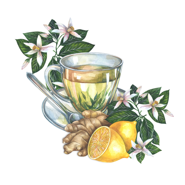 Имбирь и лимон