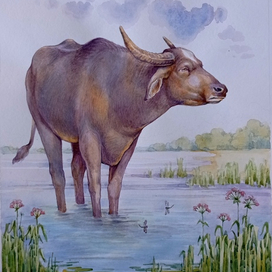 Вол и лягушка