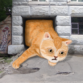 Открытка "Пошевеливайся"