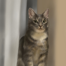 Зеленоглазый кот