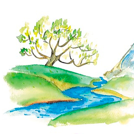 Страна чудес