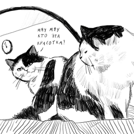 киса - красотка