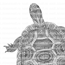 Doodleturtle 