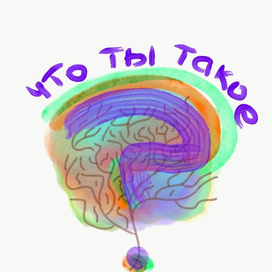 что ты такое?