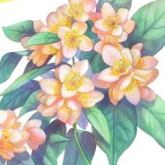 на коробочки мыла 2