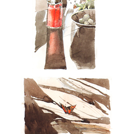 Котенок в деревне