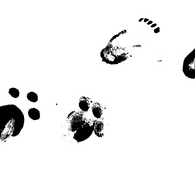 "ДЕТИ ХАРМСА"