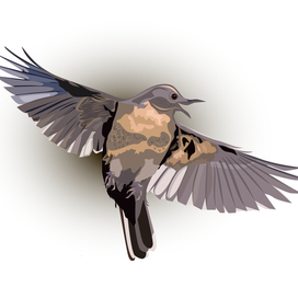 скоро весна