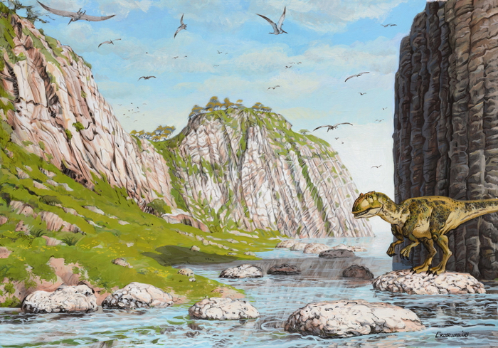 На берегу океана