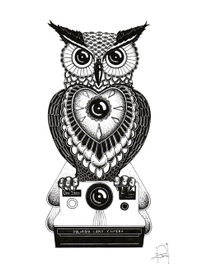 owl