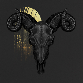 Череп барана