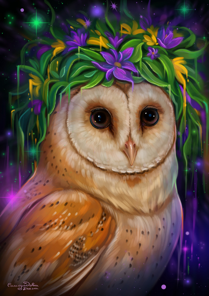 Сова в венке