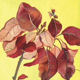 Муравьишка