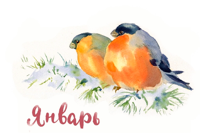 Снегири Январь Синичкин календарь
