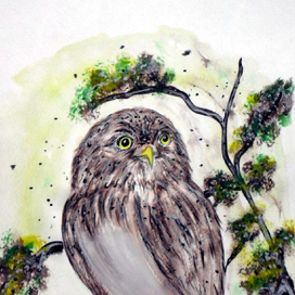 Удивленная сова