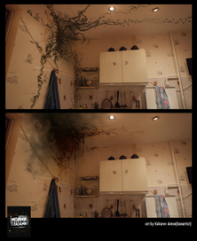 Моими глазами