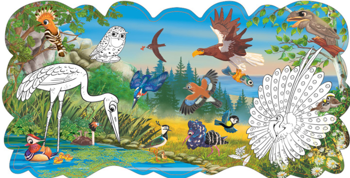 Птицы Евразии