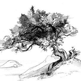 Старая арча