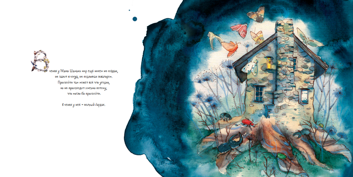 иллюстрация к книге "Мама Шамана рассыпает соль"