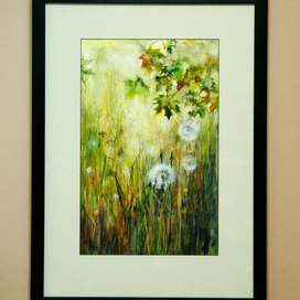 одуванчики