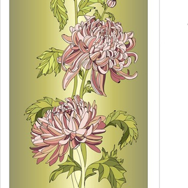 Хризантемы