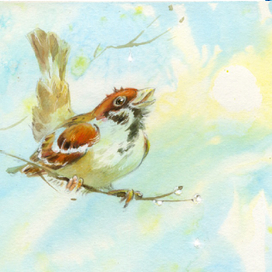 Обложка к книге «Воробьишкина весна» Н. Сладков, издательство «Речь», 2025