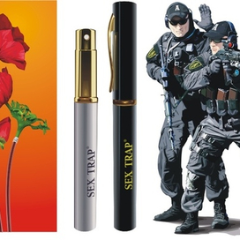 образцы векторов отрисованных  с фоток