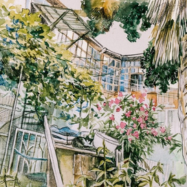 Тбилисский дворик