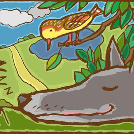 спящий волчёк