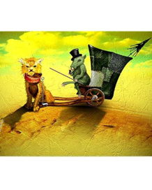 Коты и мыши