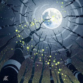 Ночная песнь