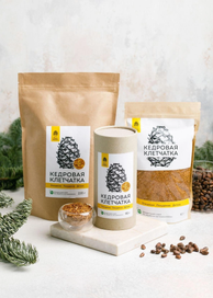 Рисунок кедровой шишки для Эко-фабрики Сибирский кедр