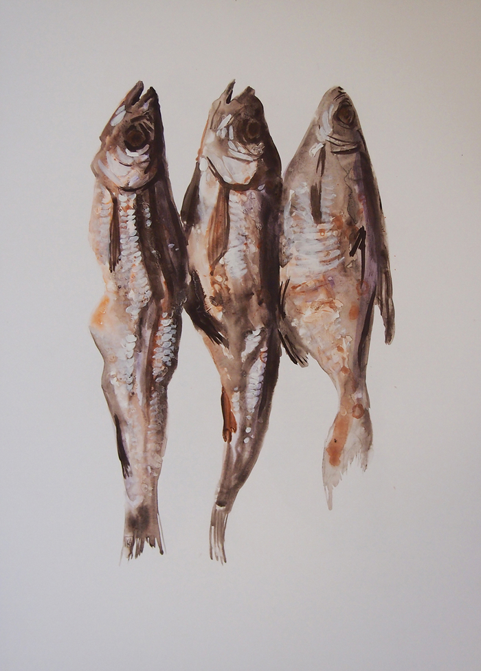 Сушёная рыба