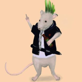 Когда в душе ты панк 