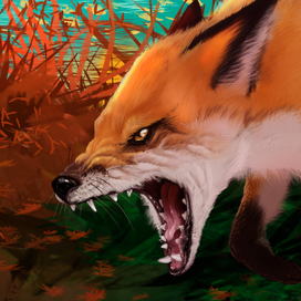 морда дикой лисы