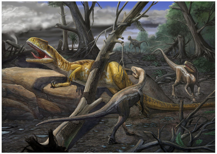 Neovenator and Eotyrannus 