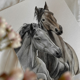 Любовь и Свобода