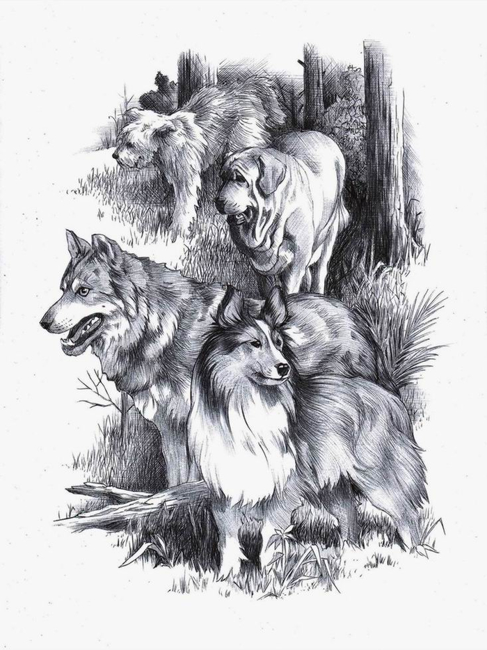 Молниеносный. 9-2